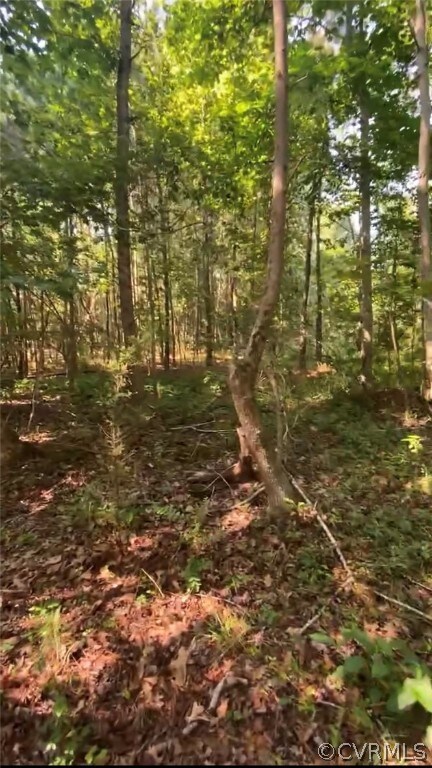 0 Bohannons Landing unit 2232256, Dunnsville, VA 22454 - photo 4