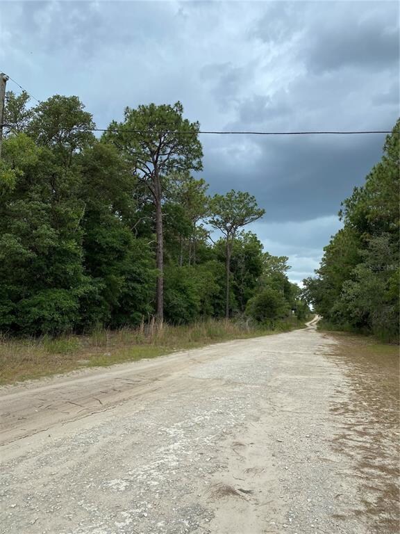 Street view from 91st