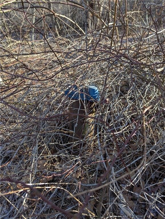 702 East St, Oneonta, NY 13820 - photo 4