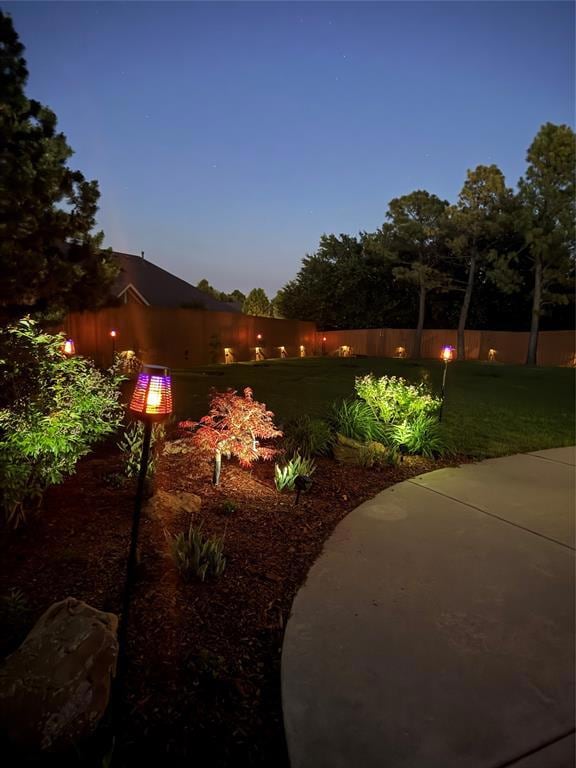 Dusk in the backyard
