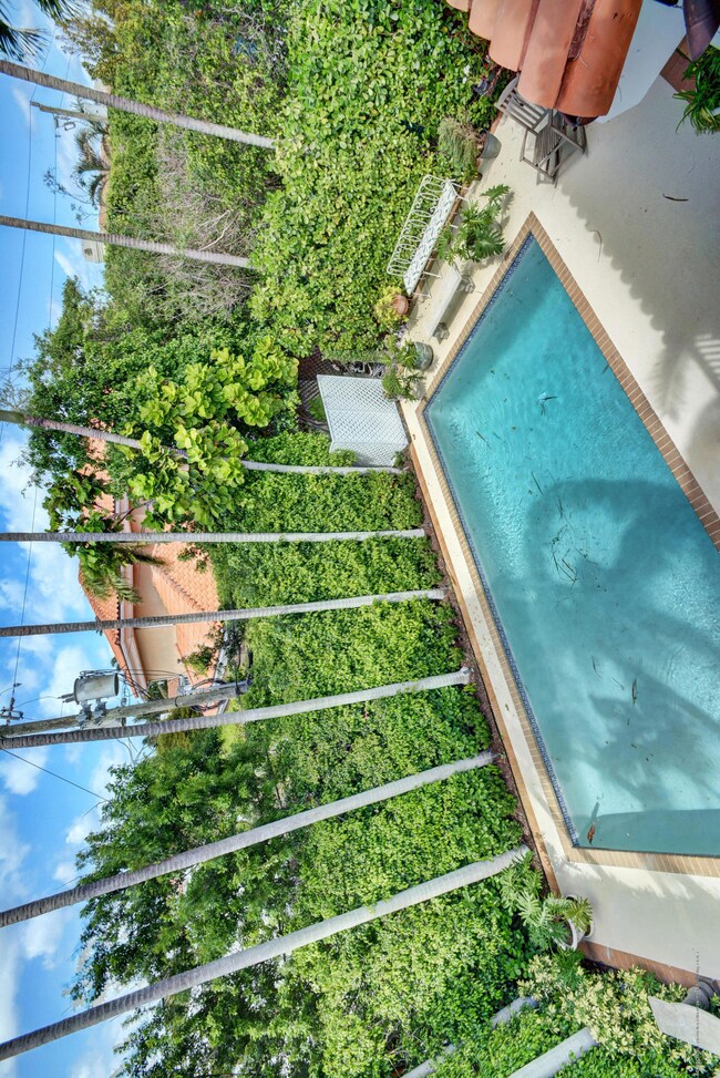 Pool with beautiful Palms