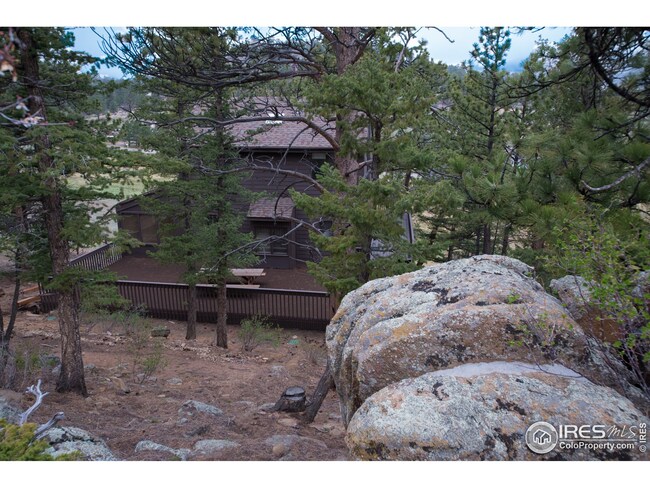 The serenity of nature