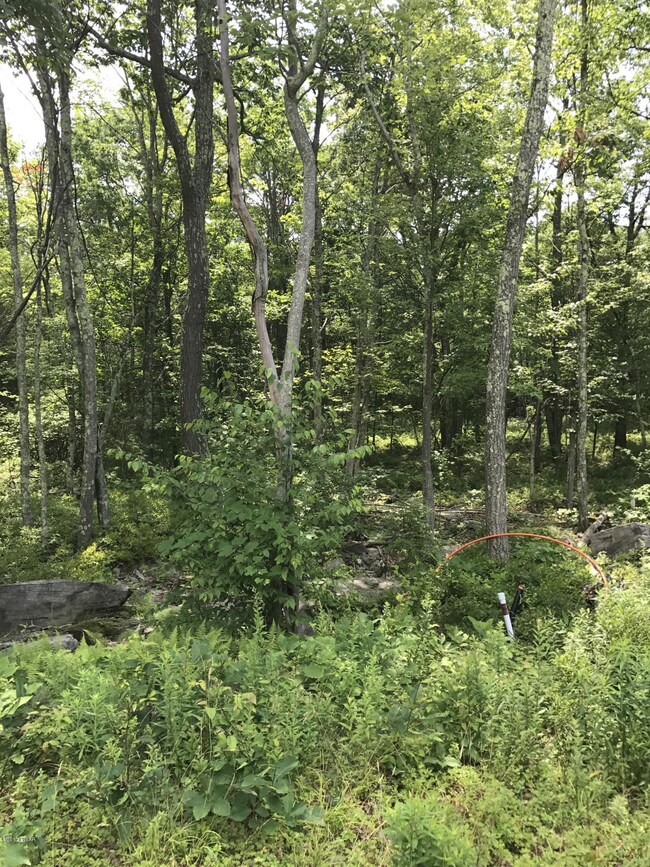 Lot #10 Blue Heron Way, Hawley, PA 18428 - photo 3