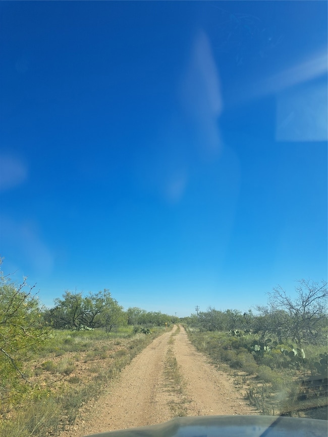 TBD 140 60 Acres, Merkel, TX 79536 - photo 2