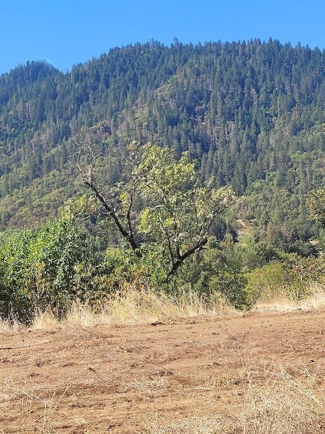 4862 N River Rd, Gold Hill, OR 97525 - photo 2