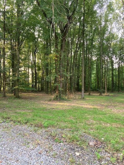 4176 Park Rd, Perry Township, OH 45118 - photo 4