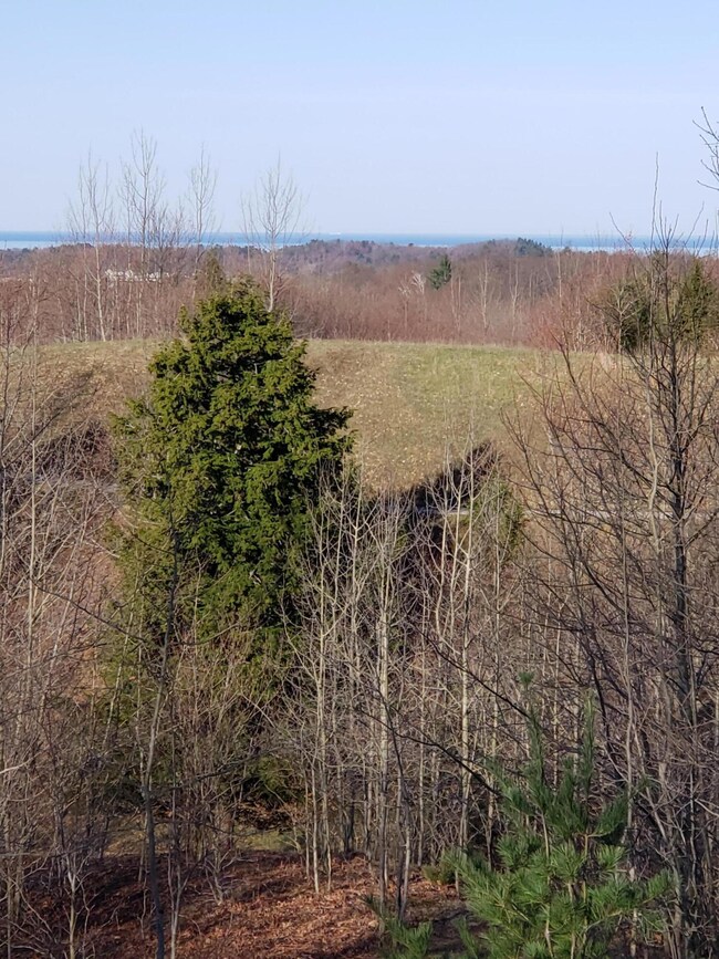 0 Eagle Ridge Cir unit Lot 103 25013457, Onekama Township, MI 49675 - photo 4