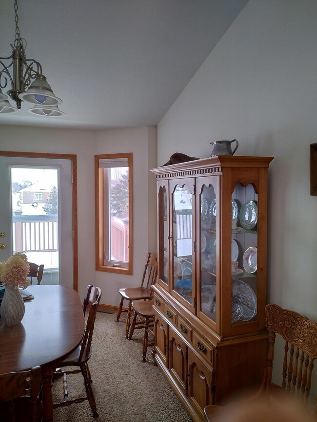 701 Brendan Ct NW, Alexandria, MN 56308 - photo 3