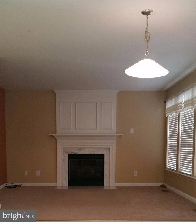 unlisted-address, White Plains, MD 20695 - photo 3