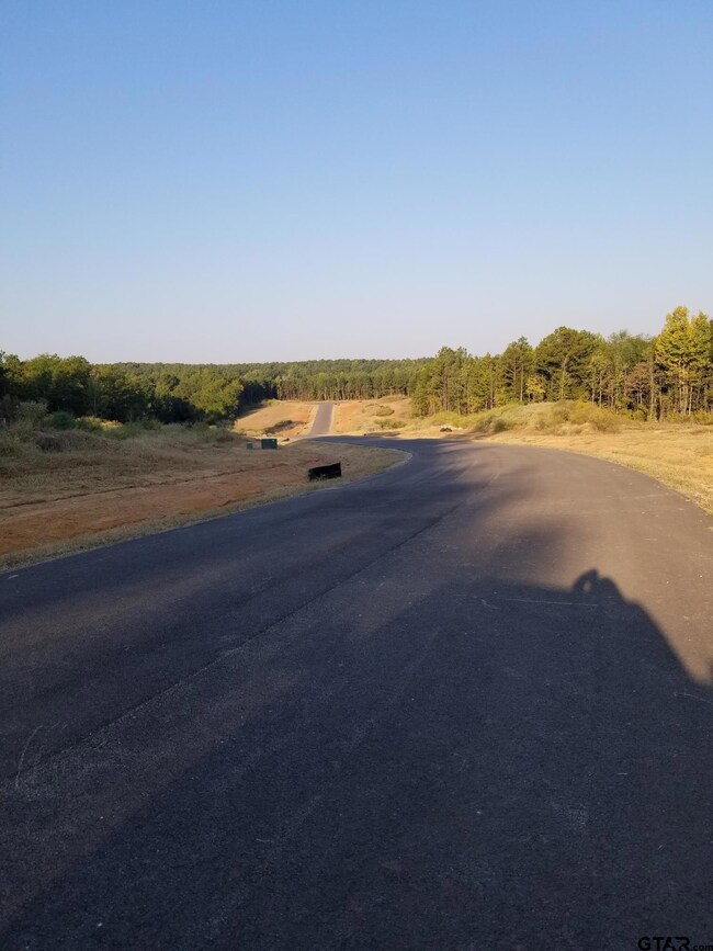 20522 Wild Arrow Ct, Arp, TX 75750 - photo 6