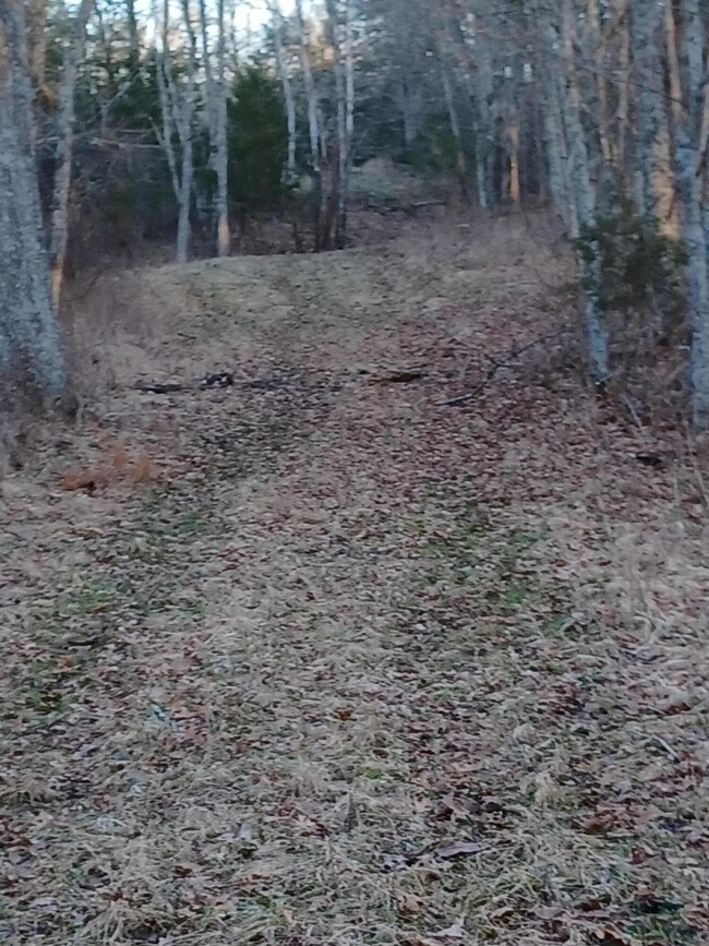 4699 Talmage Mayo Rd, Harrodsburg, KY 40330 - photo 6