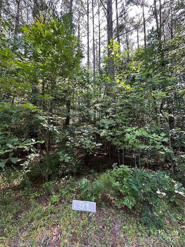 6020 Plantation Pointe Dr unit 91, Granite Falls, NC 28630 - photo 5