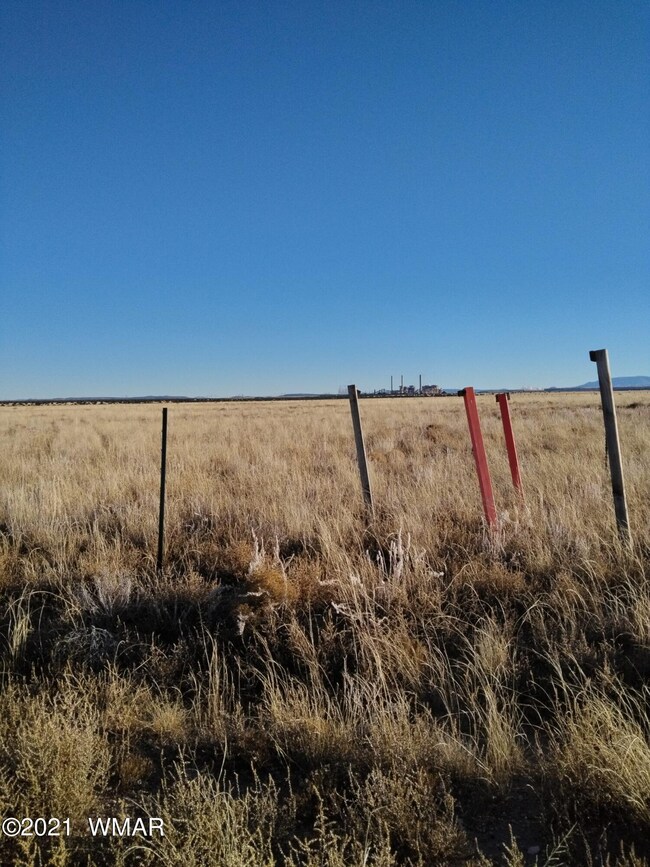Point of access from road