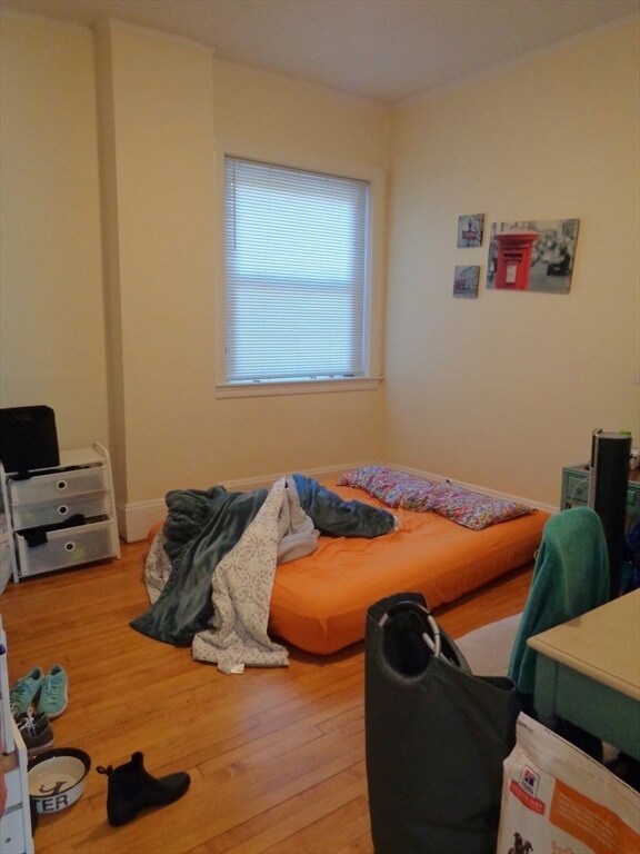 1110 Beacon St unit 2D, Brookline, MA 02446 - photo 5