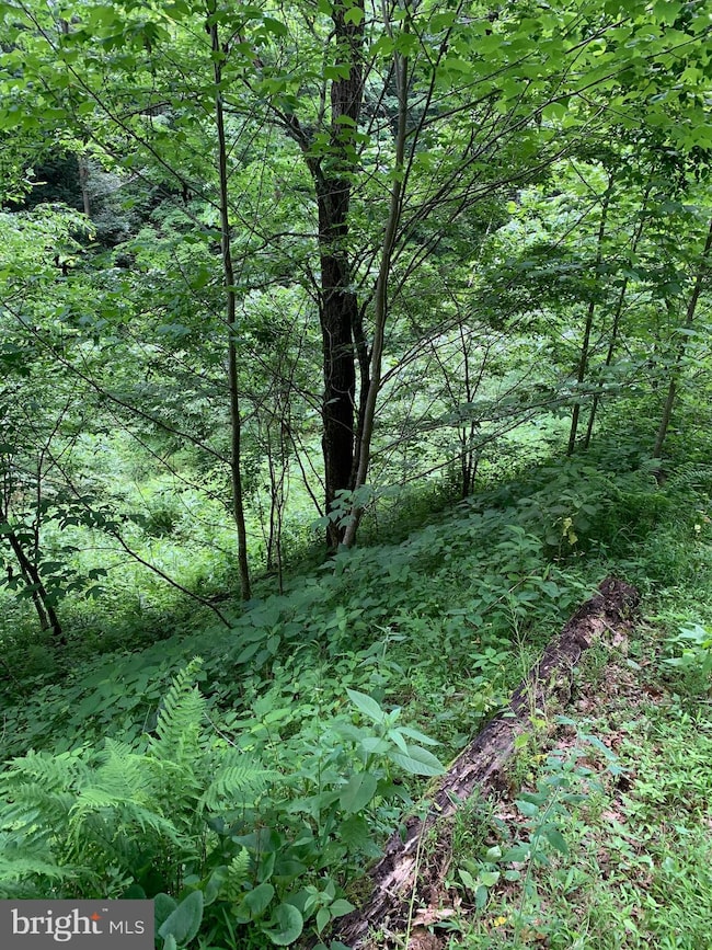 0 Route 5, Renick, WV 24966 - photo 5