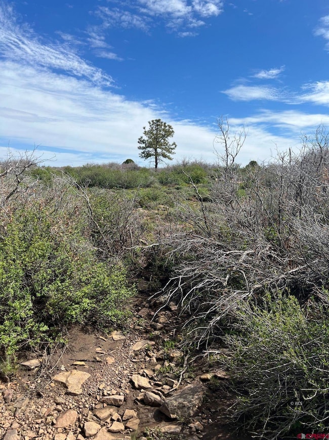 3 County Road C, Dove Creek, CO 81324 - photo 4