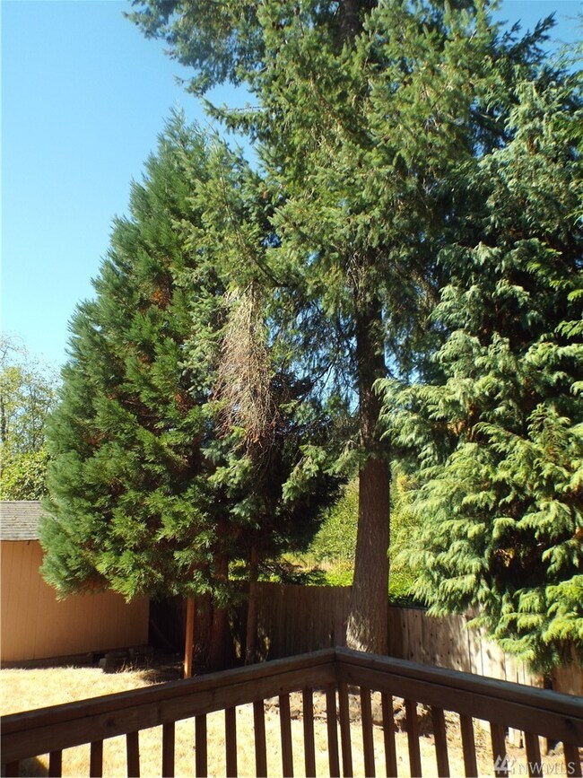 312 Cedar Ct, Winlock, WA 98596 - photo 6