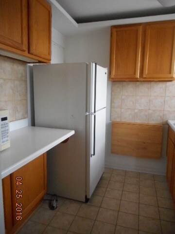 7206 Oak Ave unit 3NE, River Forest, IL 60305 - photo 6