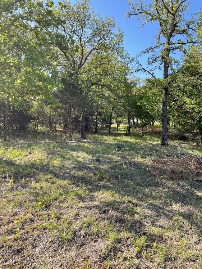 456 Cr 3791 Rd, Paradise, TX 76073 - photo 4