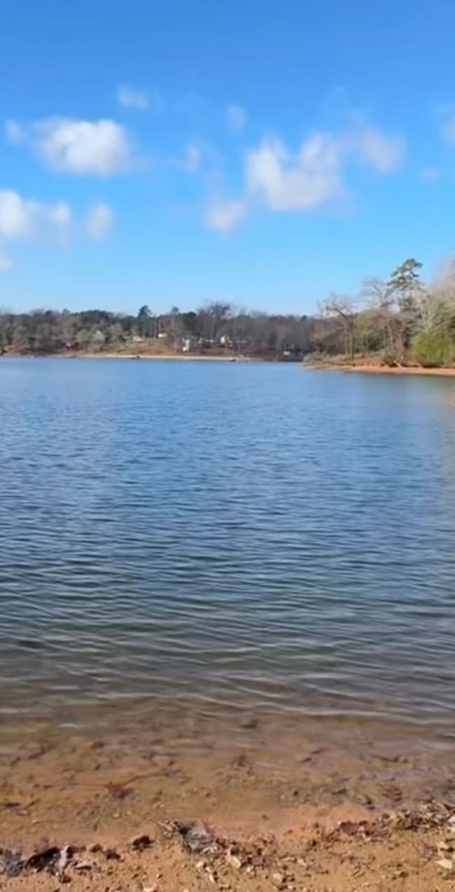 385 Crooked Rd, Abbeville, SC 29620 - photo 4