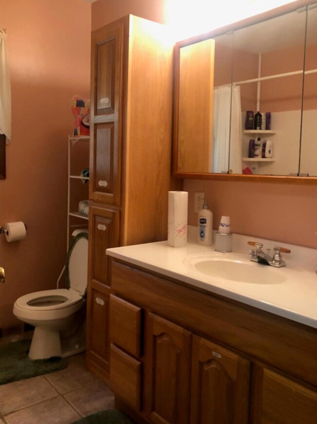 11098 N Harrison Ave, Bitely, MI 49309 - photo 7