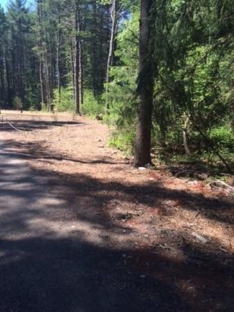 777 Whitman St, Hanson, MA 02341 - photo 2