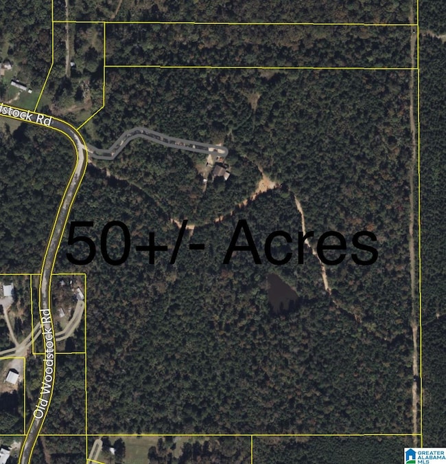 2718 Old Woodstock Rd, West Blocton, AL 35184 - photo 4