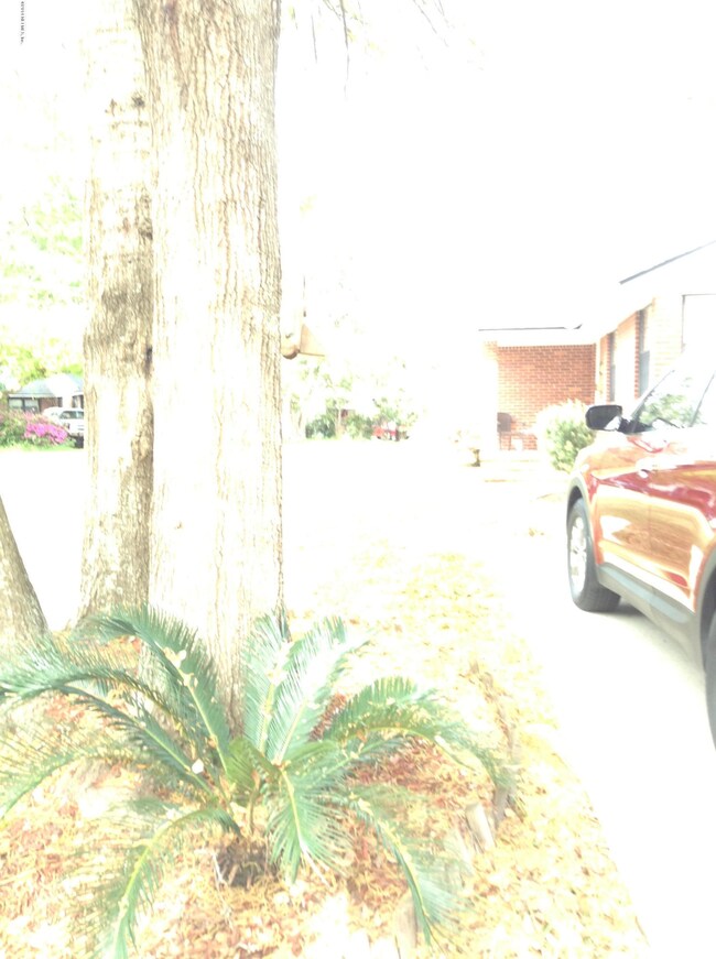 4824 Sefa Cir N, Jacksonville, FL 32210 - photo 2