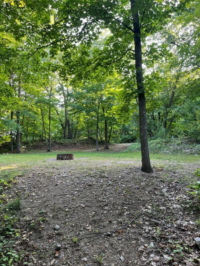 XXX Maple Island Dr SE, Hudson Township, MN 56334 - photo 4