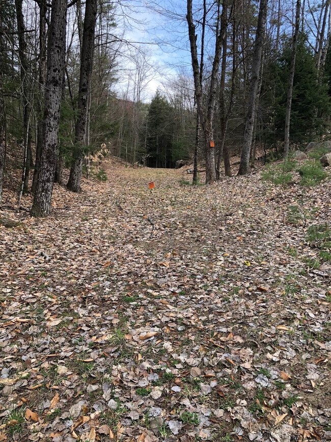0 Hunt Lake Rd N unit 202116753, Hadley, NY 12835 - photo 7