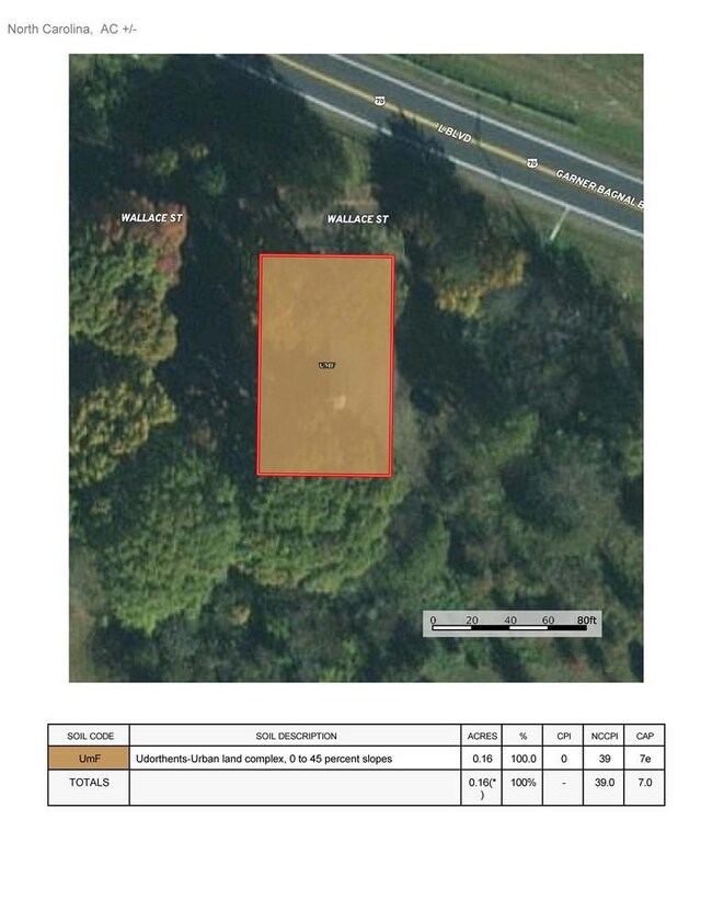 925 Wallace St, Statesville, NC 28677 - photo 6