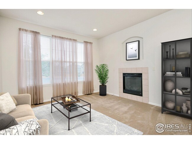 258 Mayeda Ct, Brighton, CO 80601 - photo 4