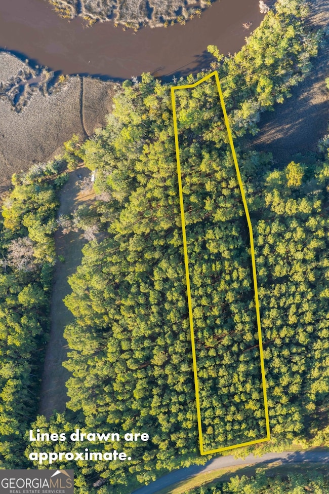 LOT 116 La Mare Ln, Waverly, GA 31565 - photo 5