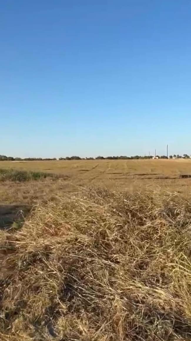 00 County Road 133 Center unit Lot 6, Ben Arnold, TX 76519 - photo 4