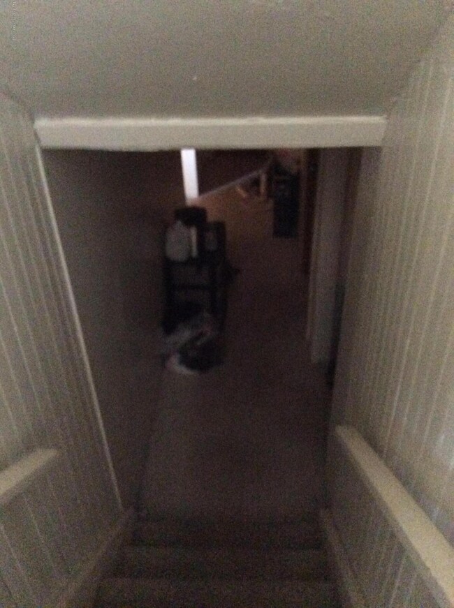 Basement Stairs