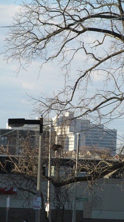 10 Westminster Ave unit 2, Roxbury, MA 02119 - photo 3