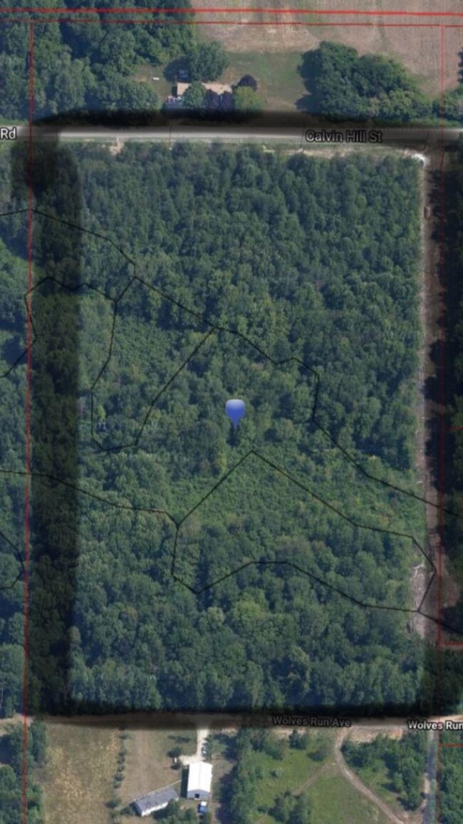 VL Calvin Hill St, Cassopolis, MI 49031 - photo 2