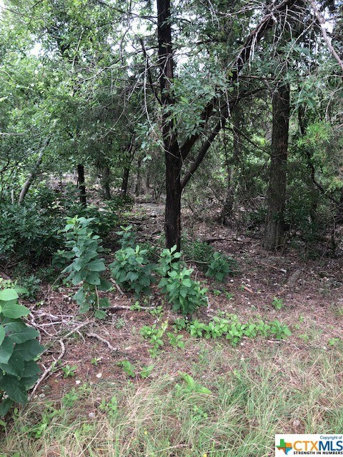 16023 Salado Dr, Temple, TX 76502 - photo 2