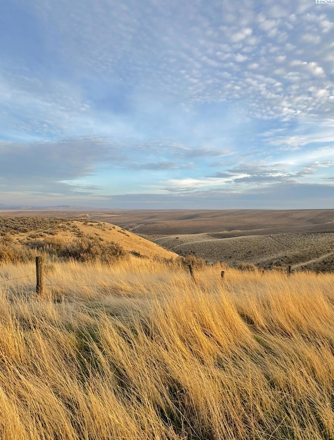 NKA E 973 Prairie SE, Kennewick, WA 99338 - photo 6