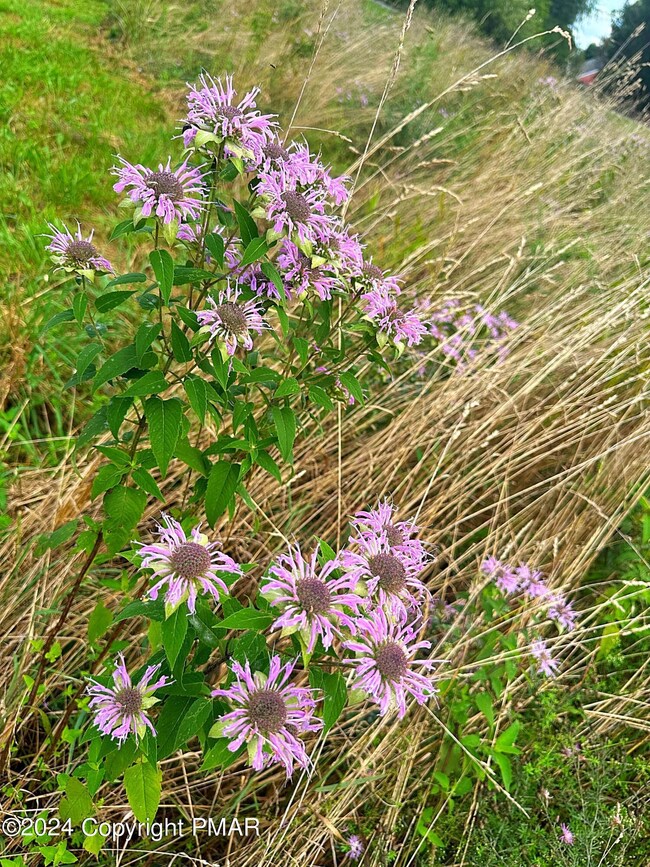 Lot 2 Poho Poco Dr, Kunkletown, PA 18058 - photo 6