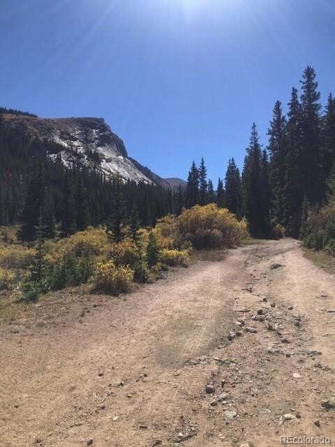 North Lot Chicago Creek Rd, Idaho Springs, CO 80452 - photo 3
