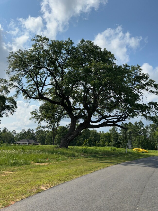 0 Hampton Ridge Ct unit 18085673, Mobile, AL 36608 - photo 5