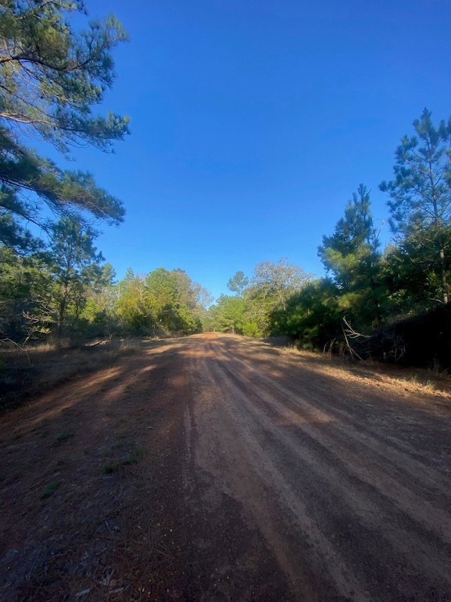 17922 Deerwood Dr, Hempstead, TX 77445 - photo 6