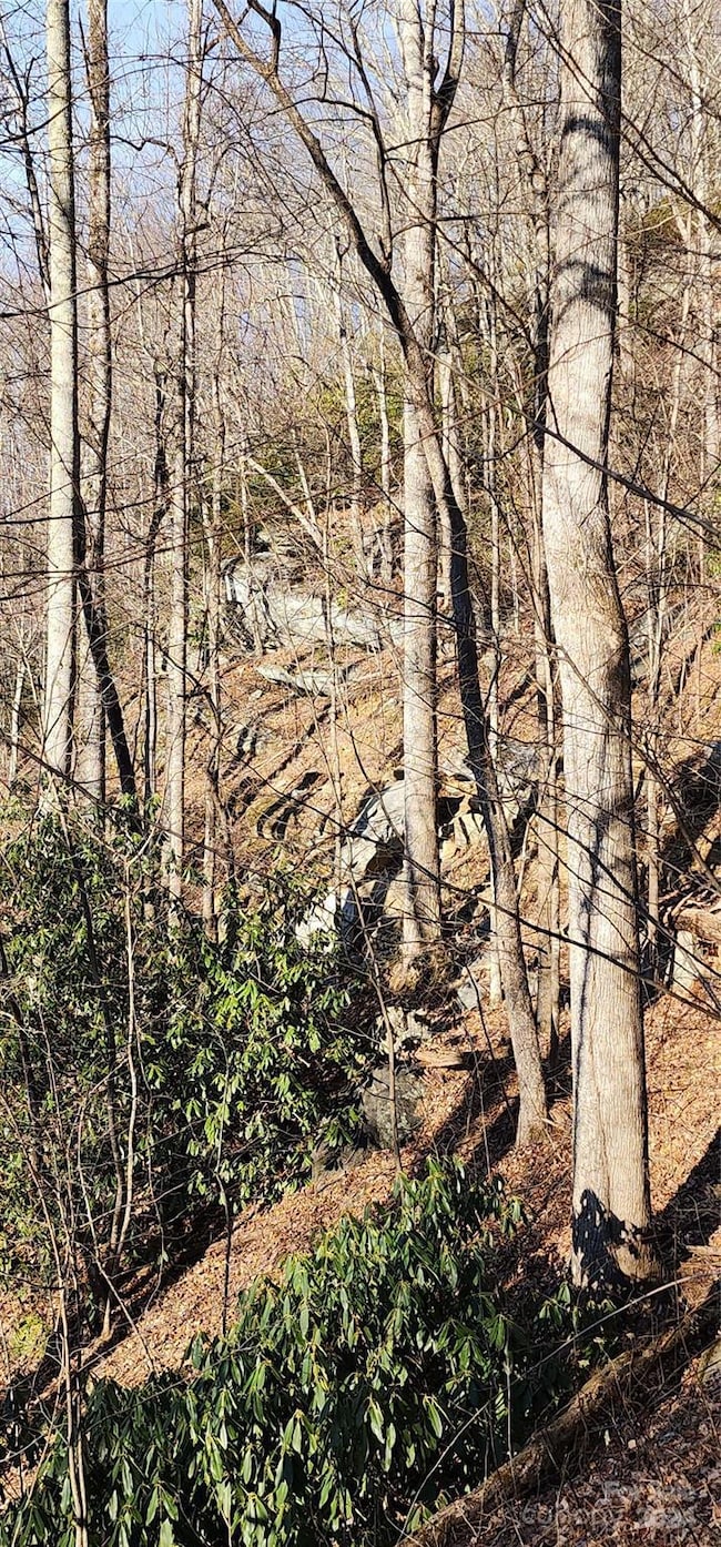 9999 Still Spring Rd unit Lot 4, Black Mountain, NC 28711 - photo 6