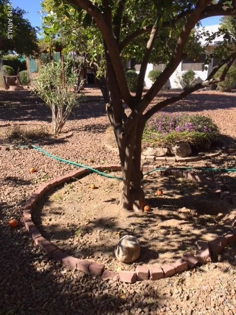 10450 N Balboa Dr, Sun City, AZ 85351 - photo 7