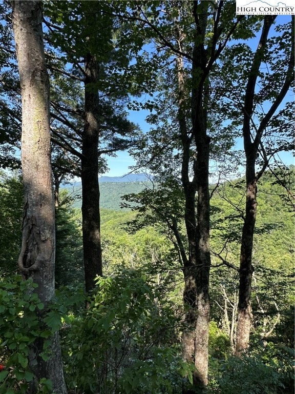 Lot 43 Quail Hollow Dr, Blowing Rock, NC 28605 - photo 3