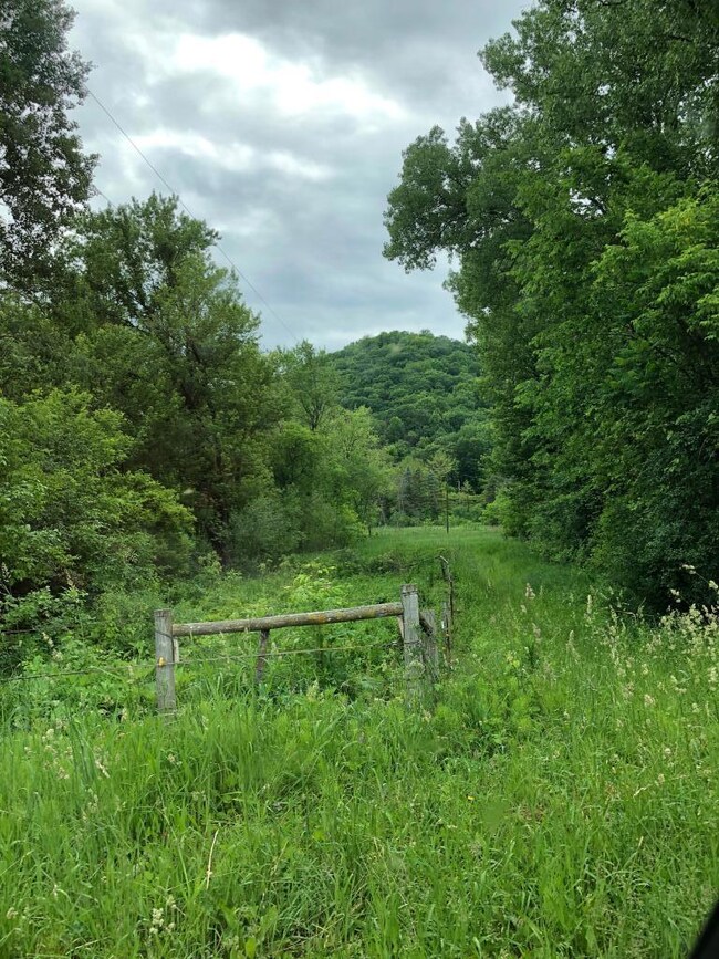 TBD County Rd 9, Homer Township, MN 55987 - photo 2