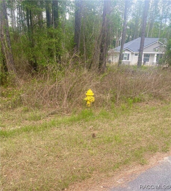 Neighbor & fire hydrant
