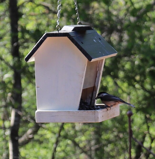Your closest neighbor looks like they are home!