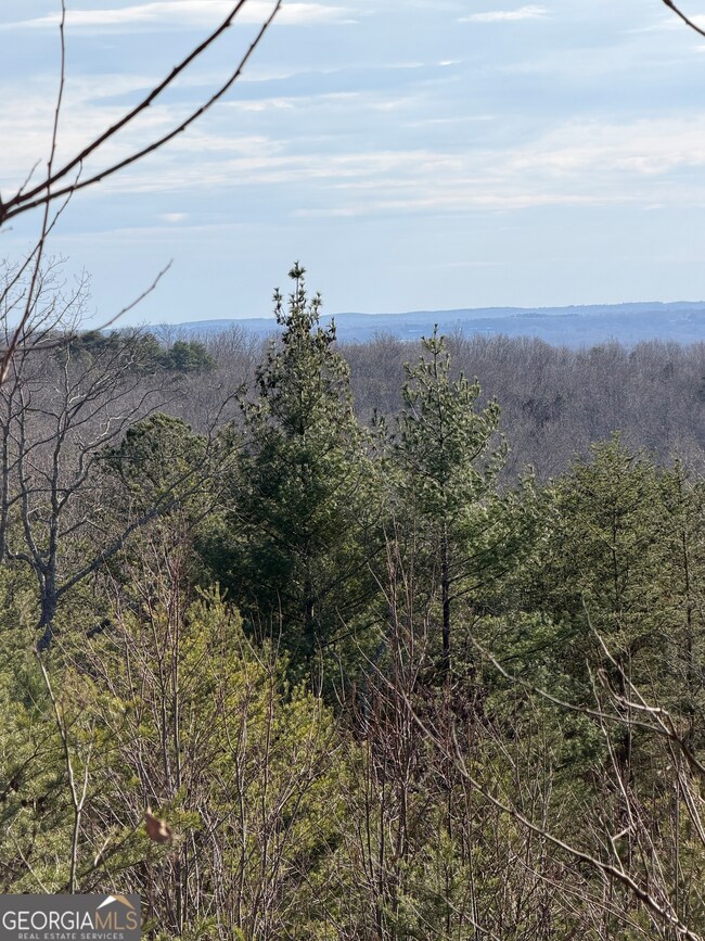 0 Mountain Ridge Dr unit LOT 42, Clarkesville, GA 30523 - photo 5